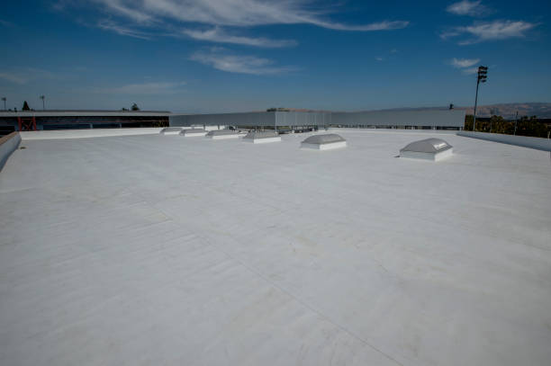 Best Roof Leak Repair  in Durant, IA