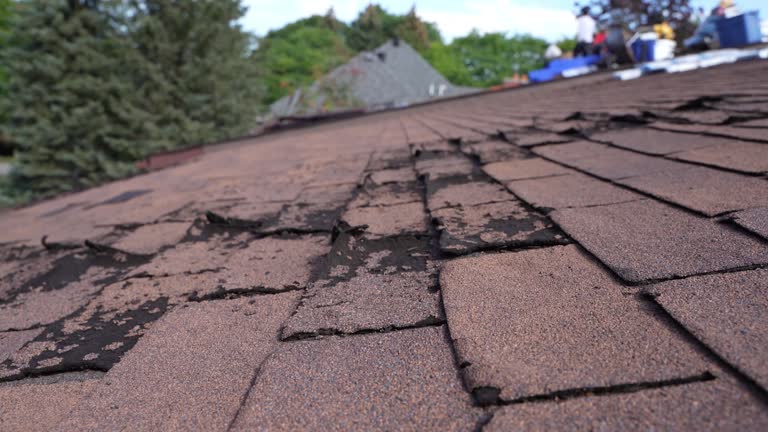 Best Emergency Roof Repair  in Durant, IA