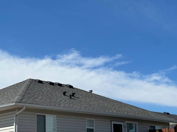 Best Commercial Roofing Services  in Durant, IA