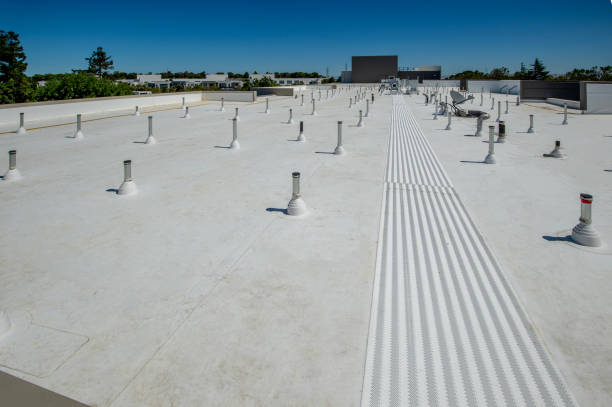 Best Roof Maintenance and Cleaning  in Durant, IA